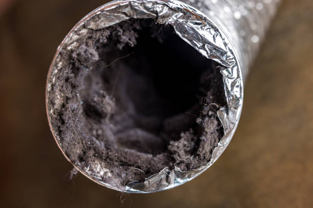 Best Affordable Duct Cleaning Services  in Lake Los Angeles, CA