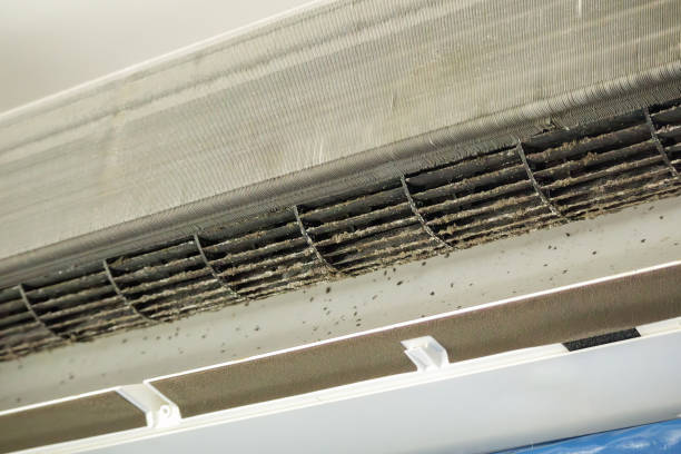 Best Home Air Vent Cleaning  in Lake Los Angeles, CA