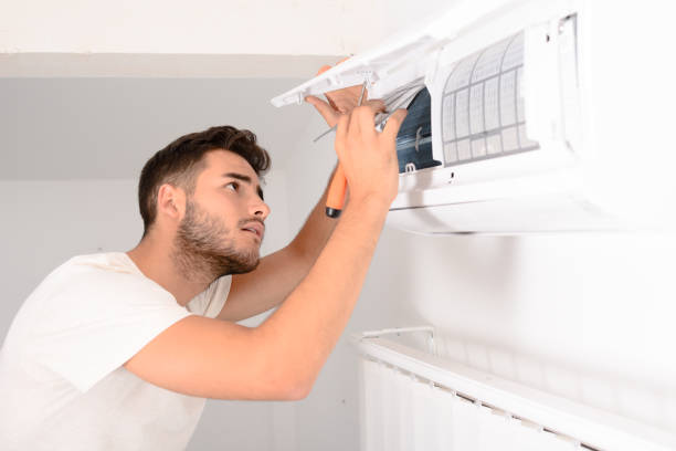 Best Professional Duct Cleaning Services  in Lake Los Angeles, CA